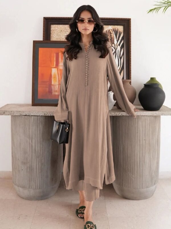 Embroidered Farshi Shalwar Set 02